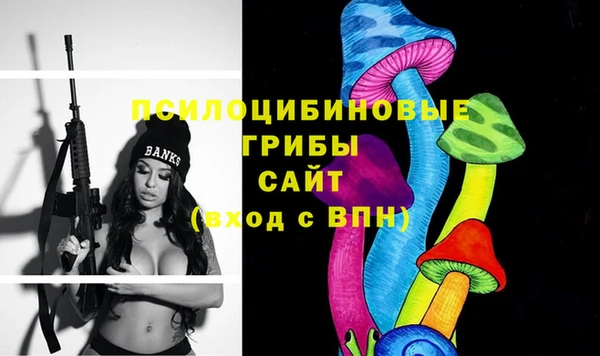 2c-b Арсеньев