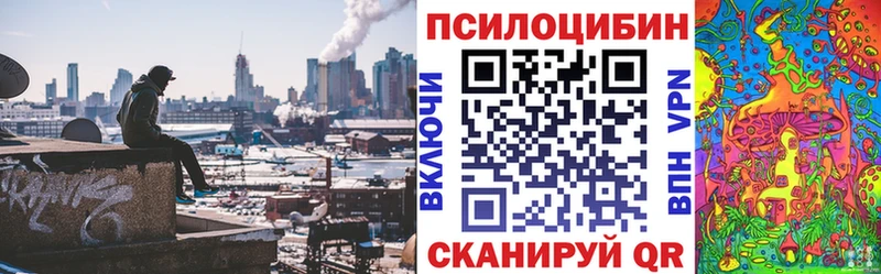 Псилоцибиновые грибы мицелий  Покров 